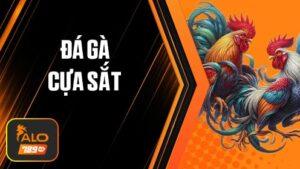 Cá cược Đá Gà Cựa Sắt