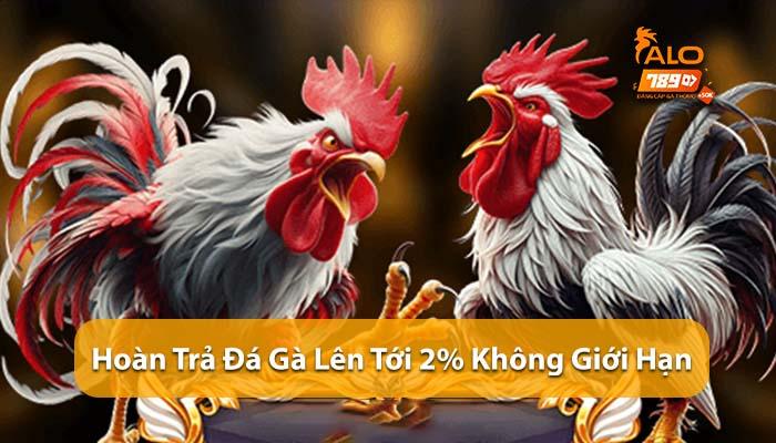 Hoàn Trả Đá Gà ALO789 - tặng thưởng không giới hạn lên tới 2% Hoàn Trả Đá Gà ALO789 - tặng thưởng không giới hạn lên tới 2%