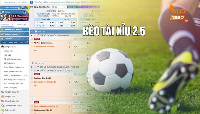 Kèo tài xỉu 2.5 trong bóng đá là gì Kèo tài xỉu 2.5 trong bóng đá là gì